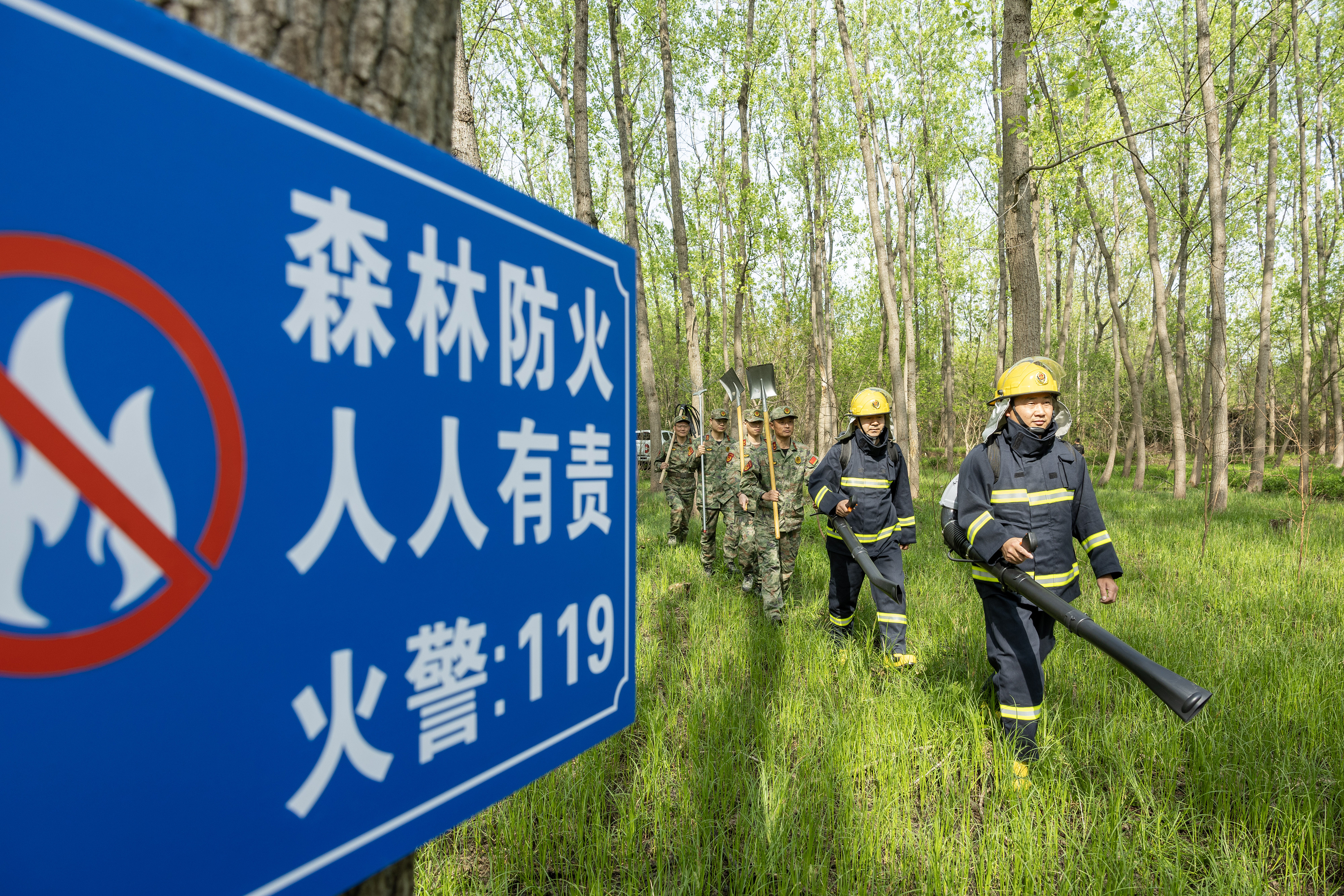 2024年4月9日，合肥市大房郢水庫(kù)水源保護(hù)地廬陽(yáng)經(jīng)濟(jì)開(kāi)發(fā)區(qū)段，基干民兵正在林間巡查火災(zāi)隱患。