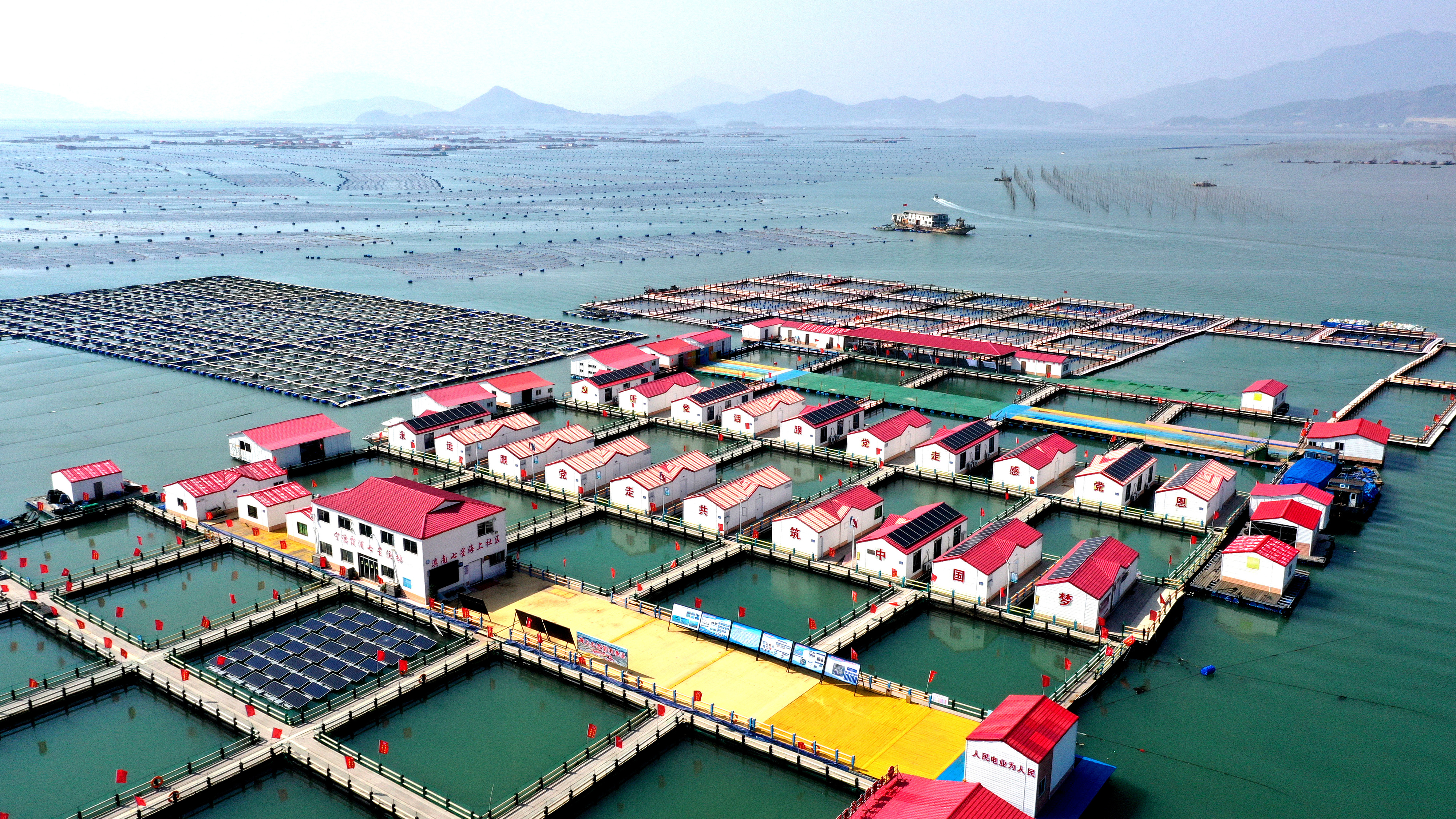 2024年3月20日，福建省寧德市，霞浦縣溪南鎮(zhèn)七星村漁排養(yǎng)殖示范區(qū)，漁民駕駛養(yǎng)殖船進行海參養(yǎng)殖作業(yè)。