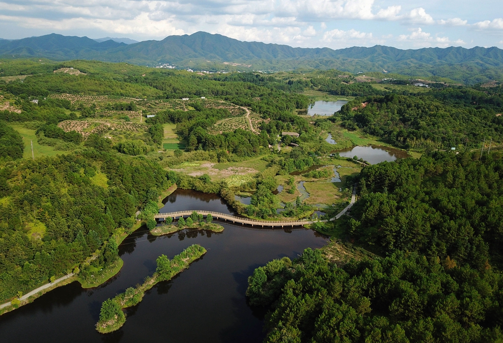 福建省龍巖市長汀縣的長汀汀江國家濕地公園景色（2020年7月28日攝，無人機(jī)照片）。新華社記者 魏培全 攝
