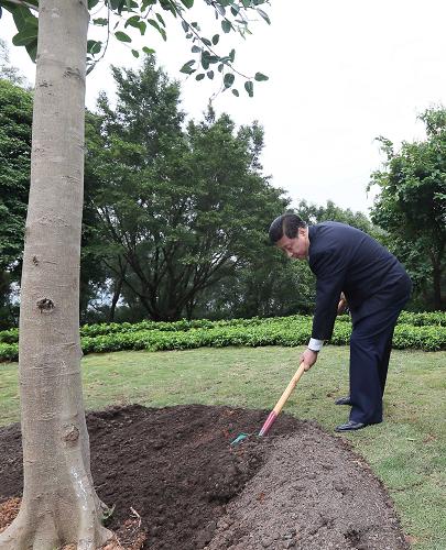 2012年12月7日至11日，習(xí)近平在廣東省考察工作。這是8日上午，習(xí)近平在深圳蓮花山公園種下一棵高山榕樹。新華社記者 蘭紅光 攝