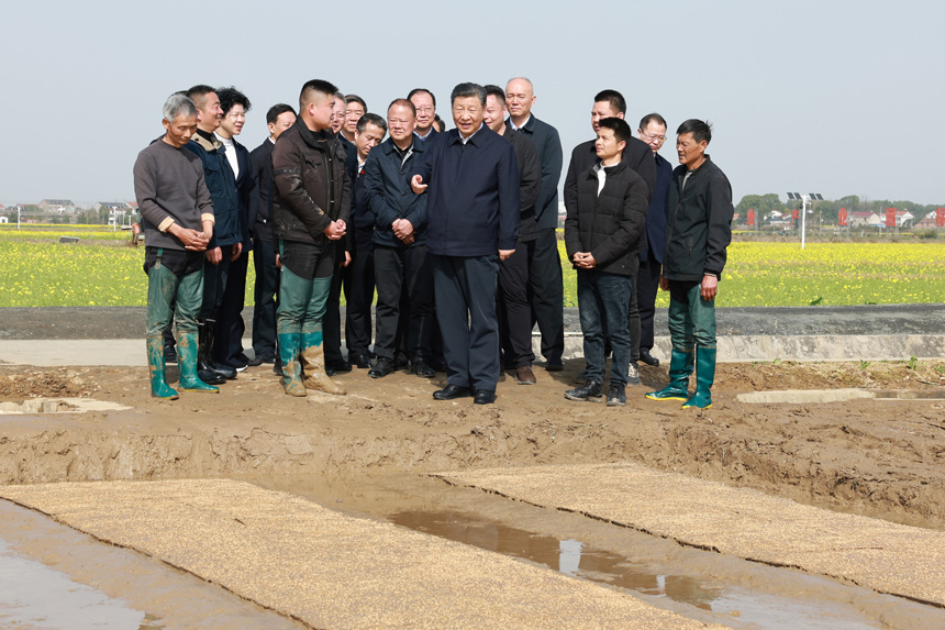 2024年3月18日至21日，中共中央總書記、國家主席、中央軍委主席習(xí)近平在湖南考察。這是19日下午，習(xí)近平在常德市鼎城區(qū)謝家鋪鎮(zhèn)港中坪村走進(jìn)田間，察看秧苗培育和春耕備耕進(jìn)展。新華社記者 王曄 攝